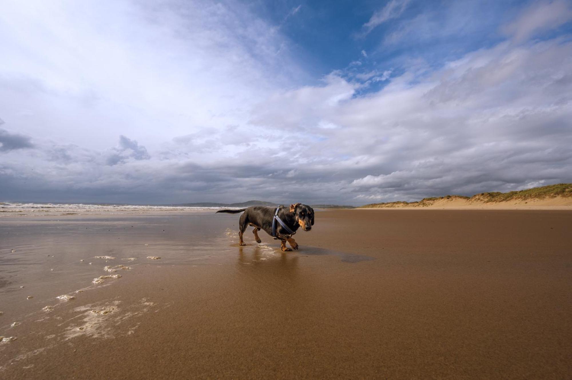 Afan Forest Retreat Cozy Getaway, Pet Friendly Cymmer エクステリア 写真