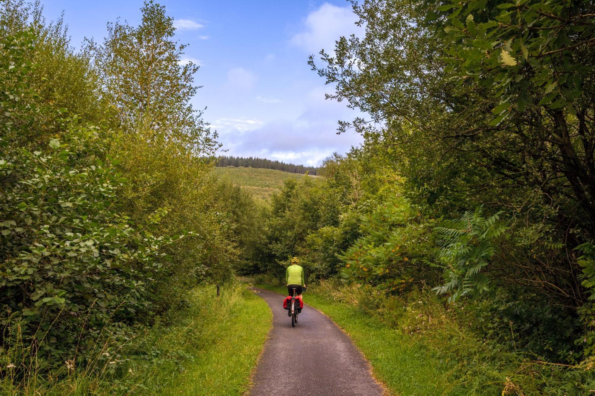 Afan Forest Retreat Cozy Getaway, Pet Friendly Cymmer エクステリア 写真