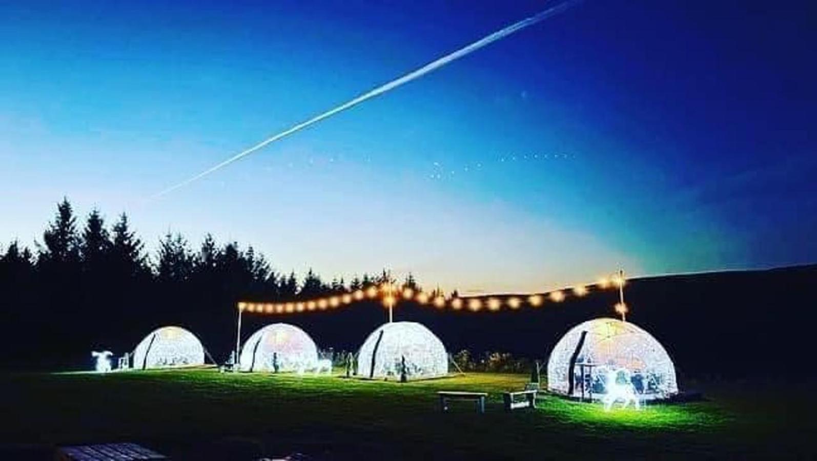 Afan Forest Retreat Cozy Getaway, Pet Friendly Cymmer エクステリア 写真
